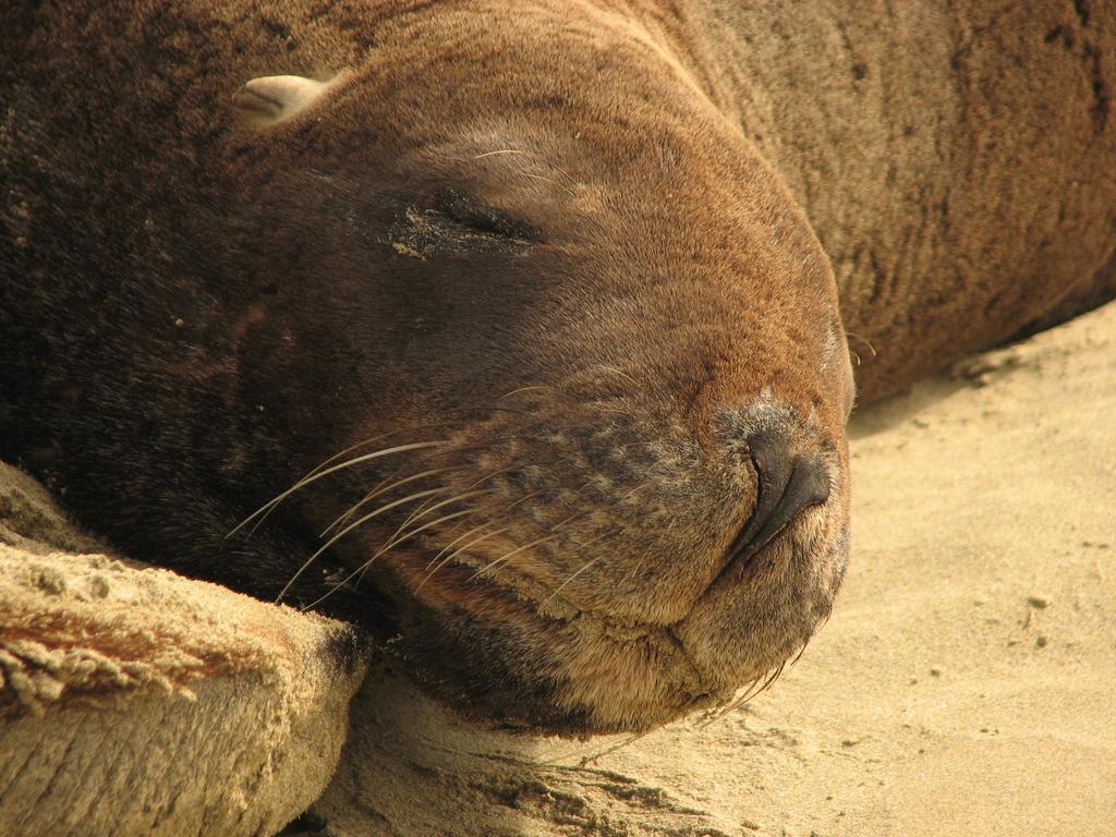 Catlins Newhaven Holiday Park Owaka Pokoj fotografie