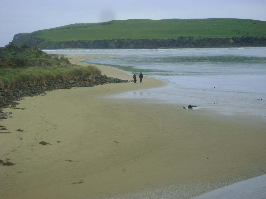 Catlins Newhaven Holiday Park Owaka Exteriér fotografie