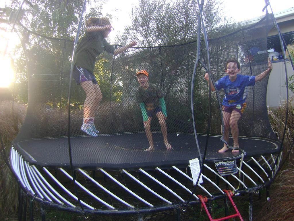Catlins Newhaven Holiday Park Owaka Exteriér fotografie