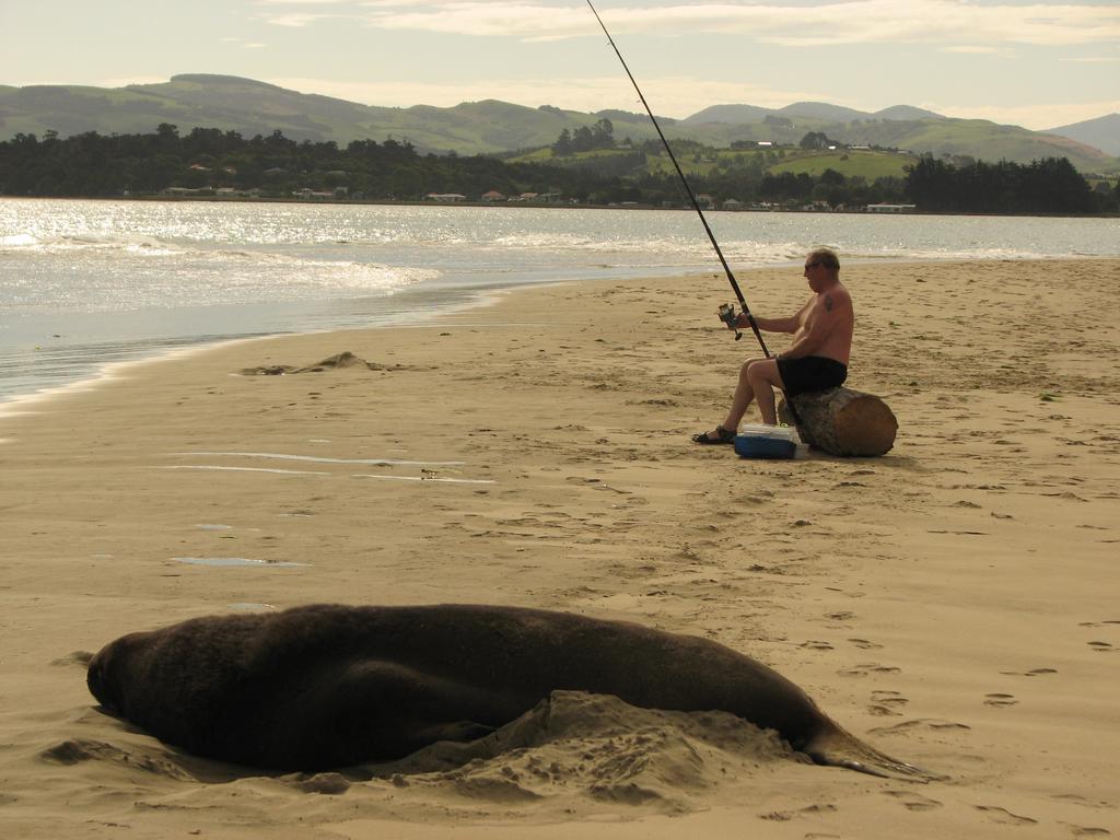 Catlins Newhaven Holiday Park Owaka Exteriér fotografie