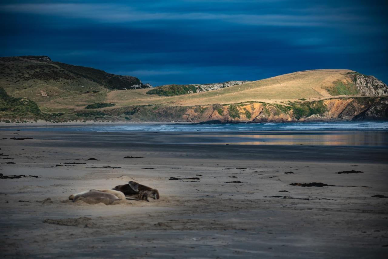 Catlins Newhaven Holiday Park Owaka Exteriér fotografie